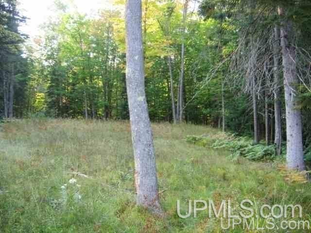 Tbd North Grosse Point Shores Road Dollar Bay, MI 49922 - Photo 13 of 16