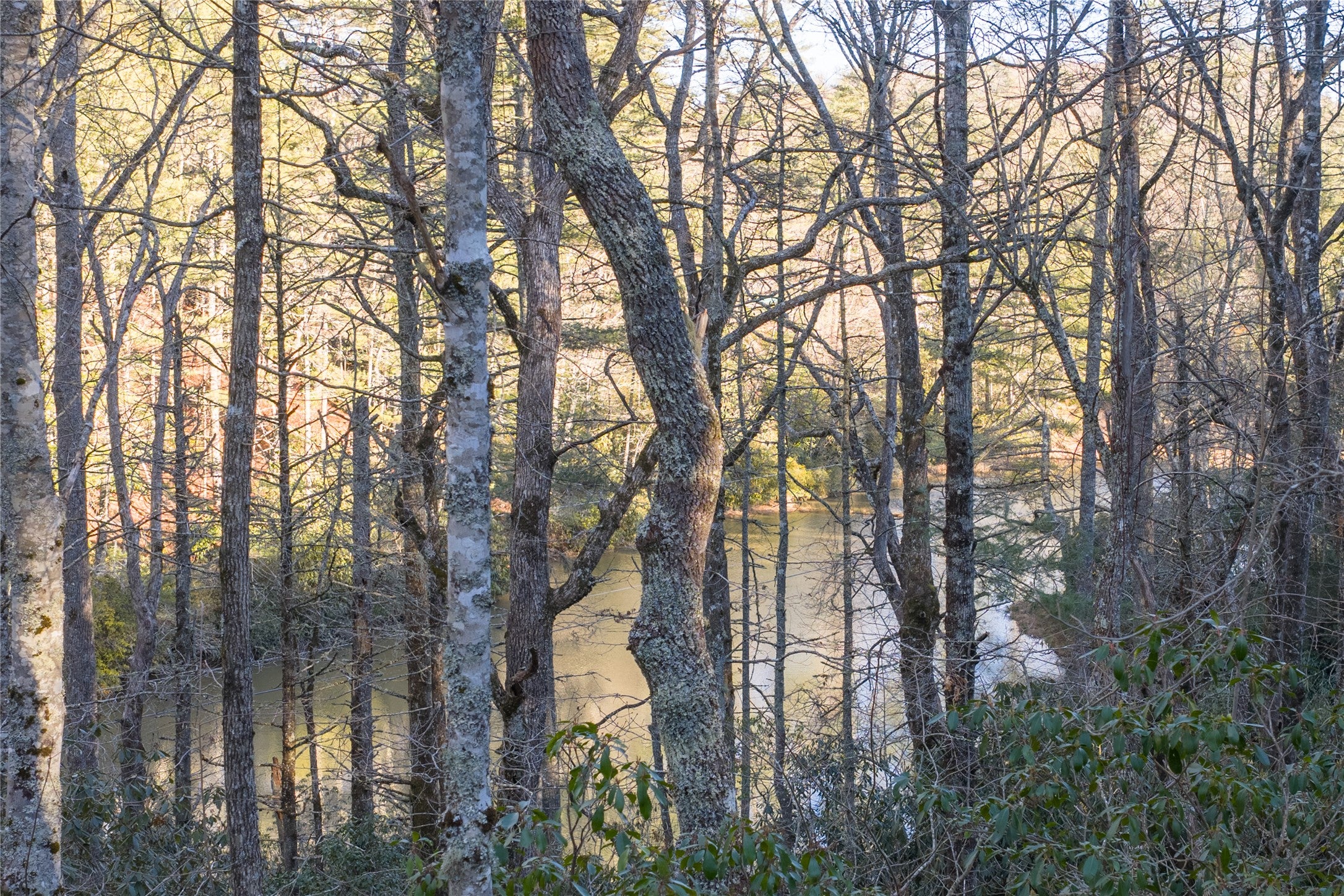349 Lance Road Cashiers, NC 28717 - Photo 12 of 23 Gallery Image 12