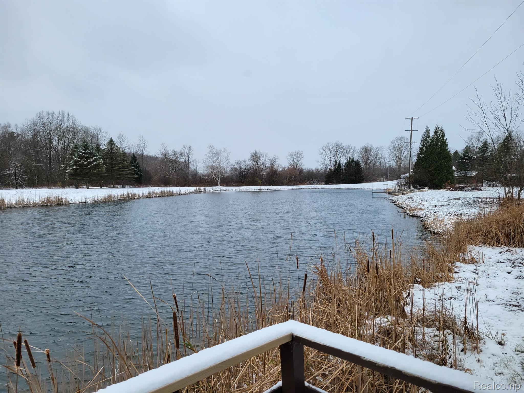 1392 Maple Grove Road Lapeer, MI 48446 - Photo 8 of 77 Pond view