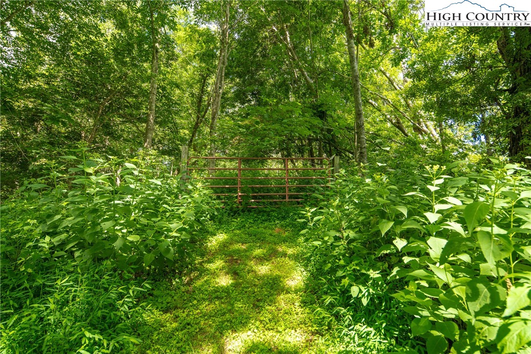 2811 Georges Gap Road Vilas, NC 28692 - Photo 32 of 50 a view of a garden