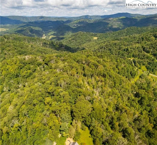a view of a pathway of a yard with an ocean view