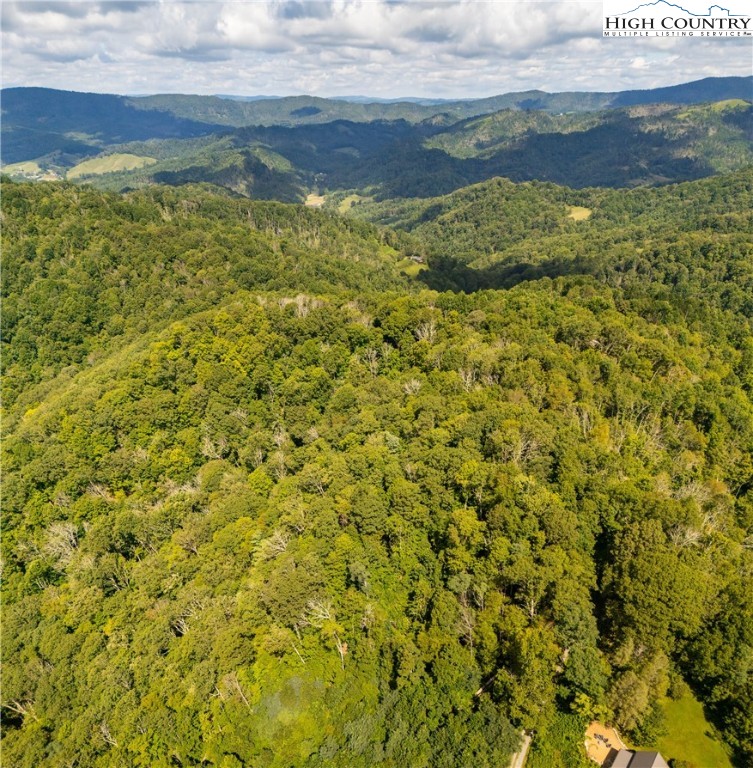 2811 Georges Gap Road Vilas, NC 28692 - Photo 34 of 50 a view of a lake view