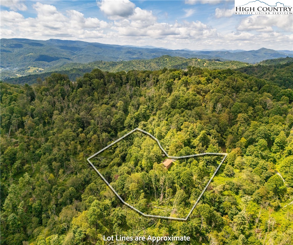 2811 Georges Gap Road Vilas, NC 28692 - Photo 37 of 39 a view of a yard