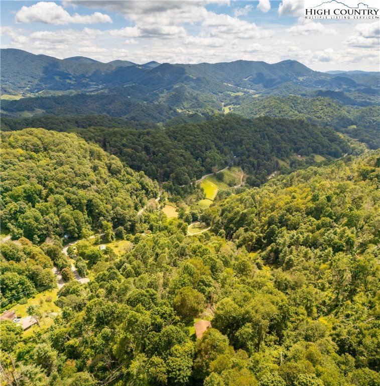 2811 Georges Gap Road Vilas, NC 28692 - Photo 39 of 50 a view of a mountain with an outdoor space