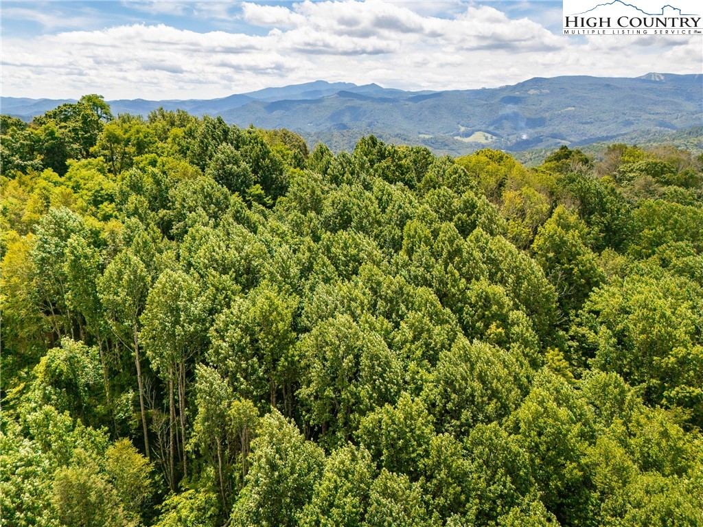 2811 Georges Gap Road Vilas, NC 28692 - Photo 45 of 50 a view of a lush green field
