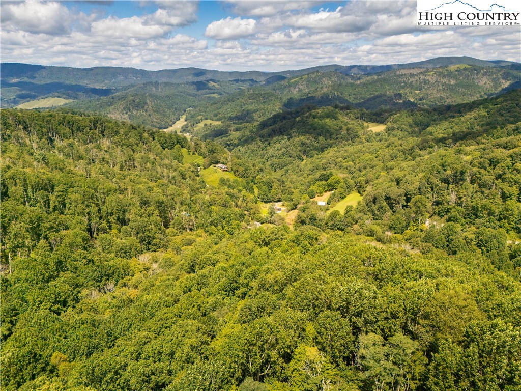 2811 Georges Gap Road Vilas, NC 28692 - Photo 47 of 50 a view of a field