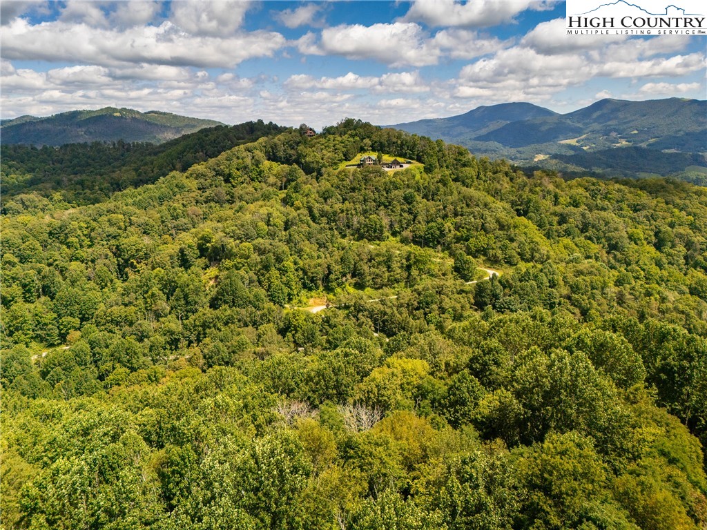 2811 Georges Gap Road Vilas, NC 28692 - Photo 48 of 50 a view of a forest with a mountain