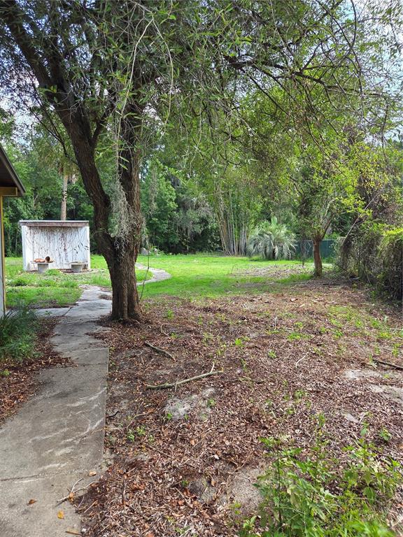 1822 Branch Forbes Road Plant City, FL 33565 - Photo 43 of 47 Gallery Image 43