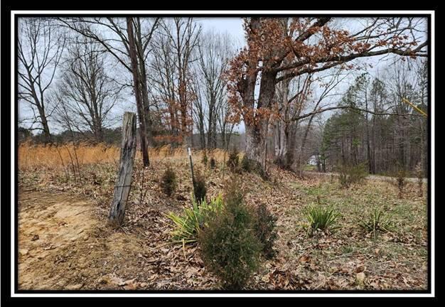 0 Metheny Fairplay Road, Unit TRACT 1) Vinton, OH 45686 - Photo 4 of 41 image003