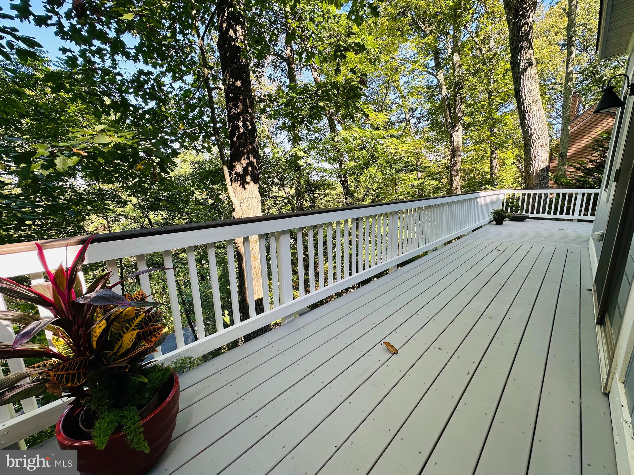 6524 Rimrock Road New Market, MD 21774 - Photo 16 of 59 Deck fully renovated and newly painted!