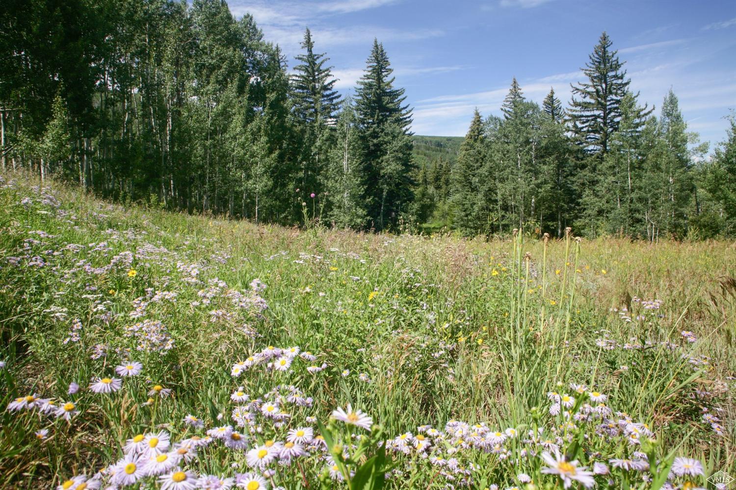 1690 Daybreak Ridge Road Beaver Creek, CO 81620 - Photo 8 of 19 a view of a yard with plants and large trees