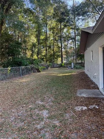 a view of a yard with plants and large trees