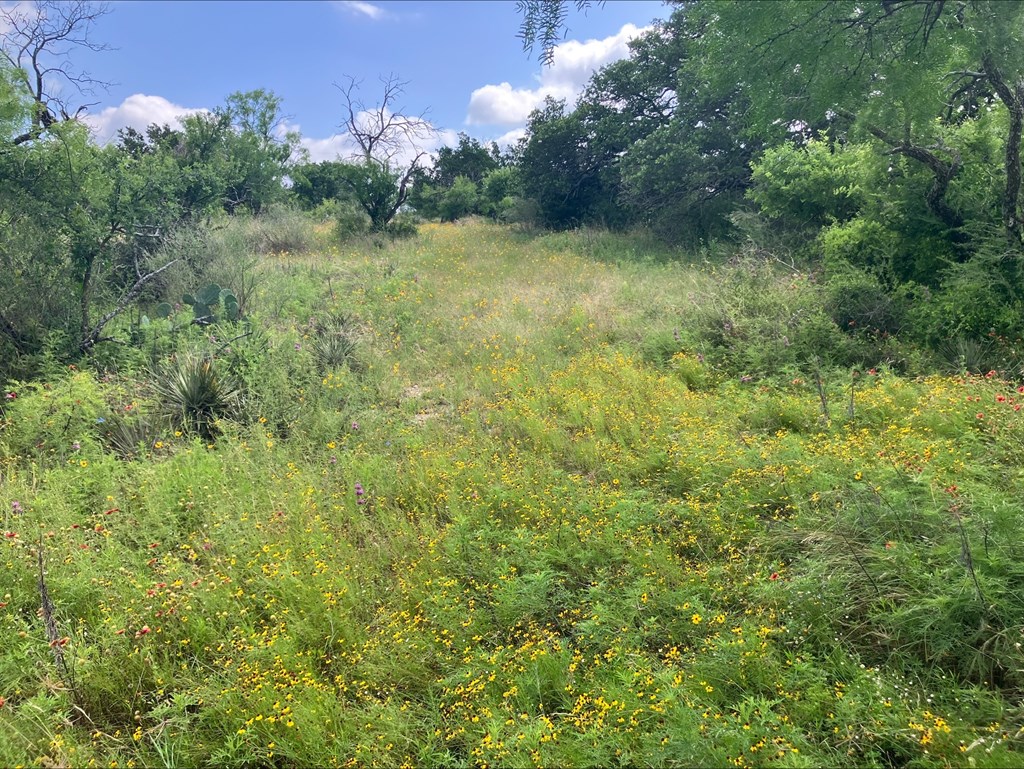 4605 West Ranch Road Mason, TX 76856 - Photo 4 of 26