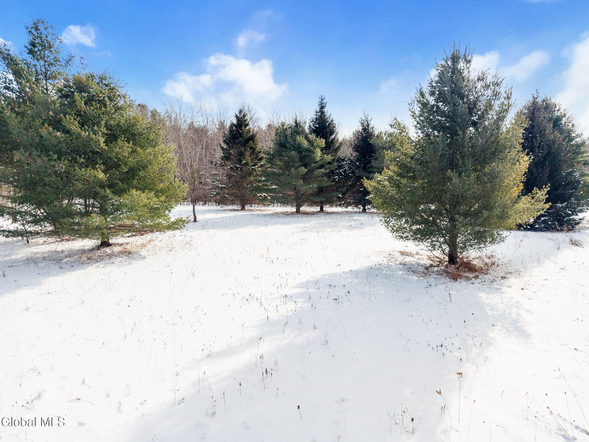 311 Corbin Hill Road Charleston, NY 12072 - Photo 32 of 42 26-311CorbinHillRd_26