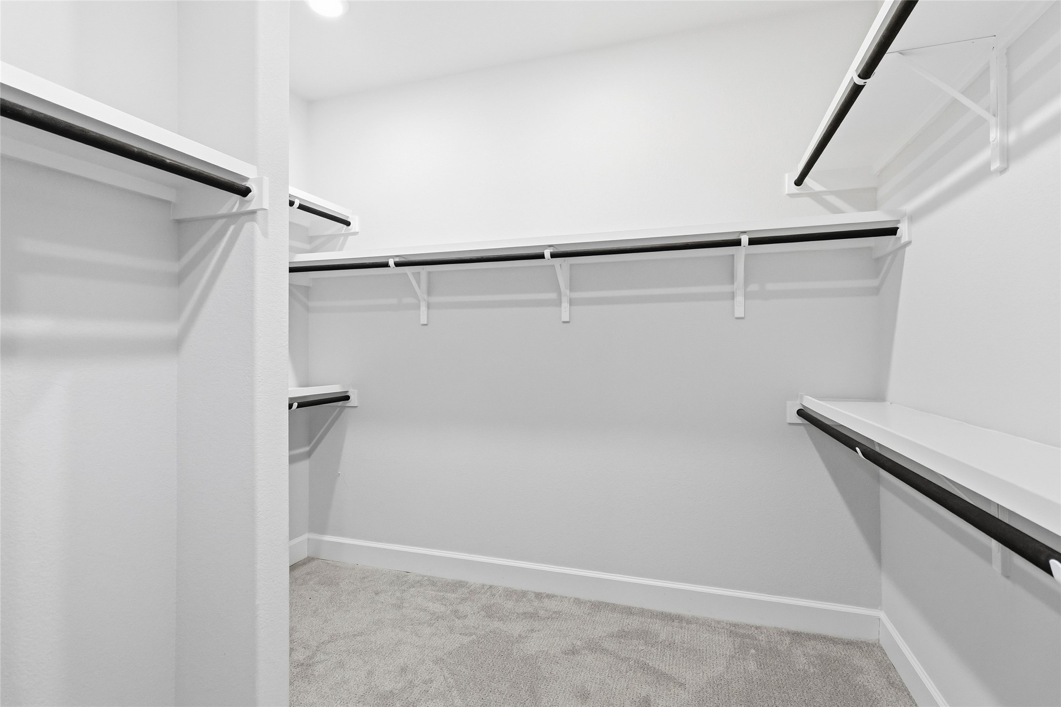 640 Prairie Clover Drive Dripping Springs, TX 78620 - Photo 18 of 32 Walk in closet featuring light carpet