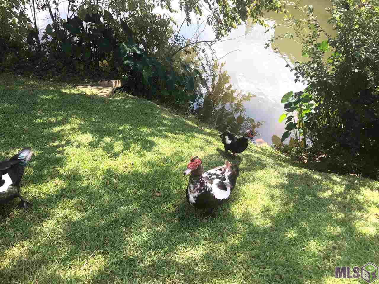 10300 West Winston Avenue, Unit 6 Baton Rouge, LA 70809 - Photo 21 of 26