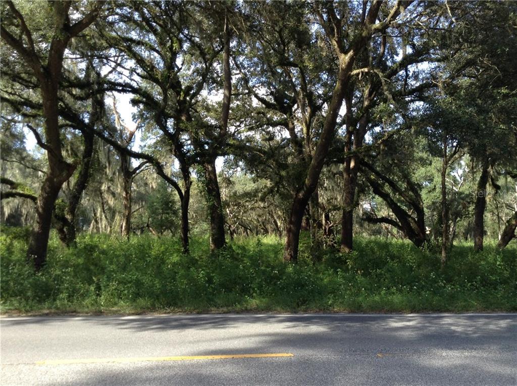 308 County Rd Crescent Crescent City, FL 32112 - Photo 1 of 1