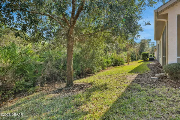 a view of a yard with plants and trees