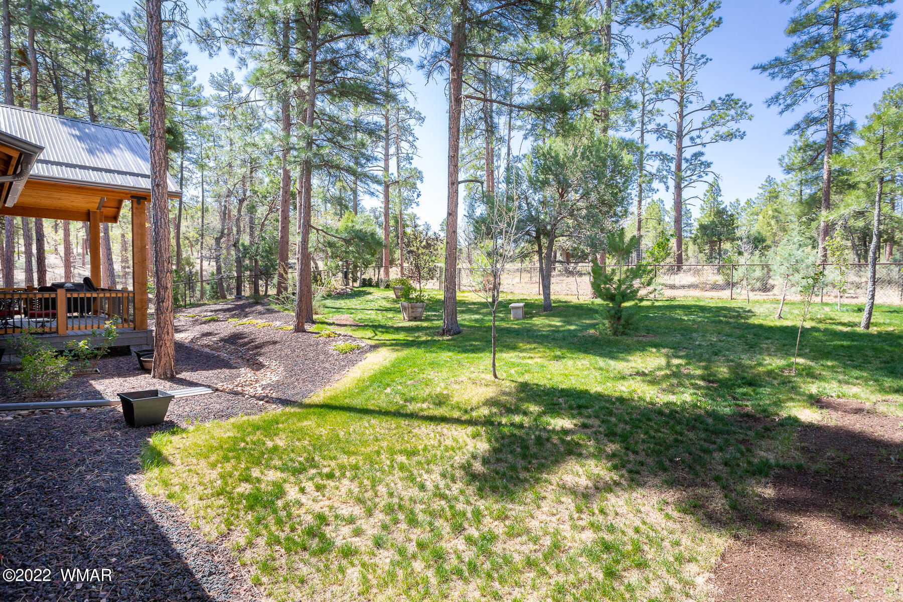 1950 Silver Tree Lane Show Low, AZ 85901 - Photo 5 of 41 a view of a backyard with plants and large trees