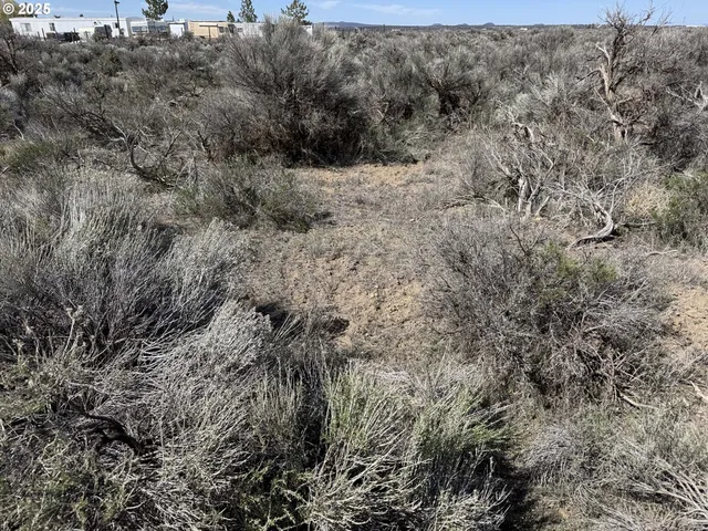 a view of a dry yard