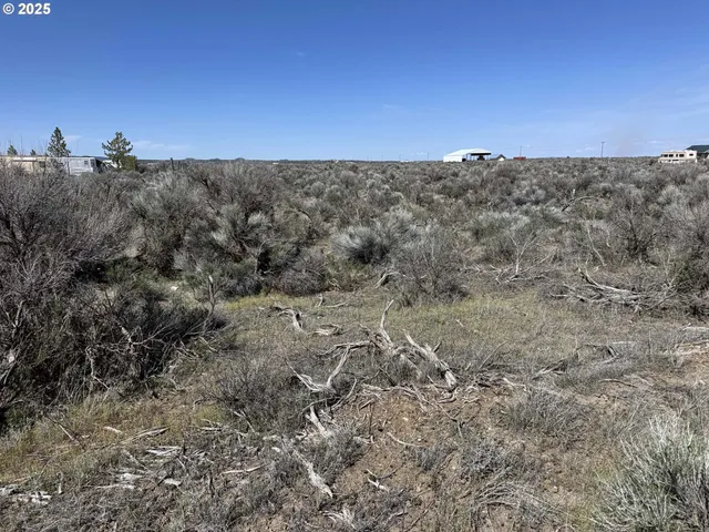 a view of a dry field with trees in background