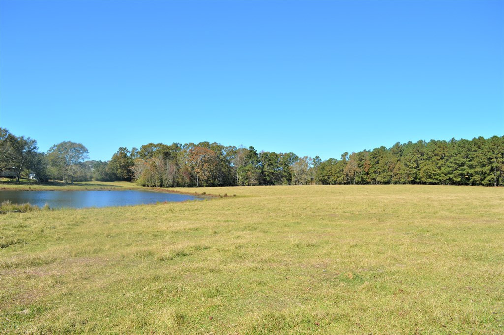 3819 Highway 583 Ruth, MS 39662 - Photo 11 of 16 Photo 11