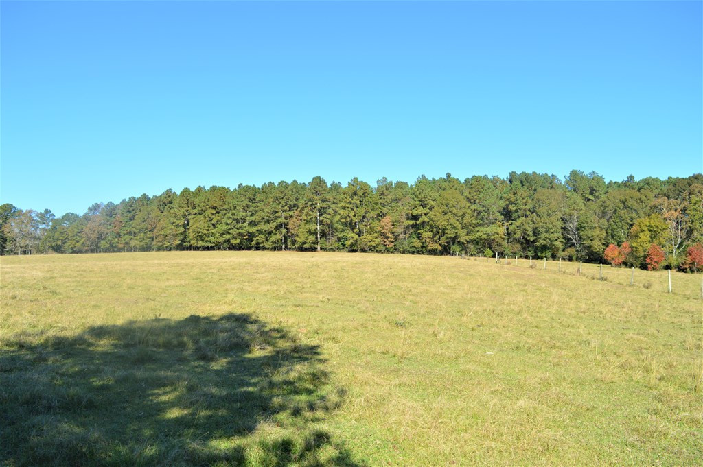 3819 Highway 583 Ruth, MS 39662 - Photo 13 of 16 Photo 13