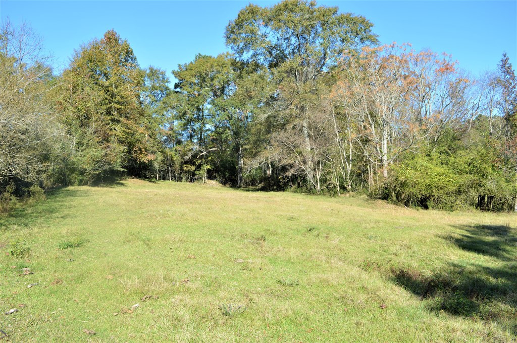 3819 Highway 583 Ruth, MS 39662 - Photo 15 of 16 Photo 15