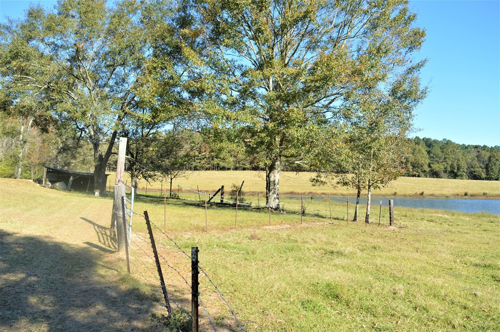 3819 Highway 583 Ruth, MS 39662 - Photo 3 of 16 Photo 3