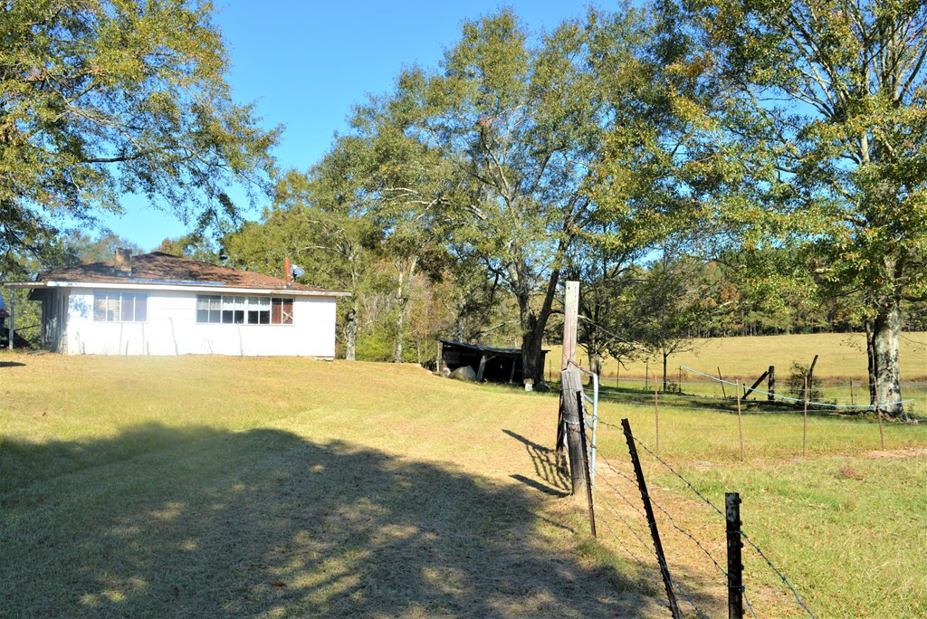 3819 Highway 583 Ruth, MS 39662 - Photo 4 of 16 Photo 4