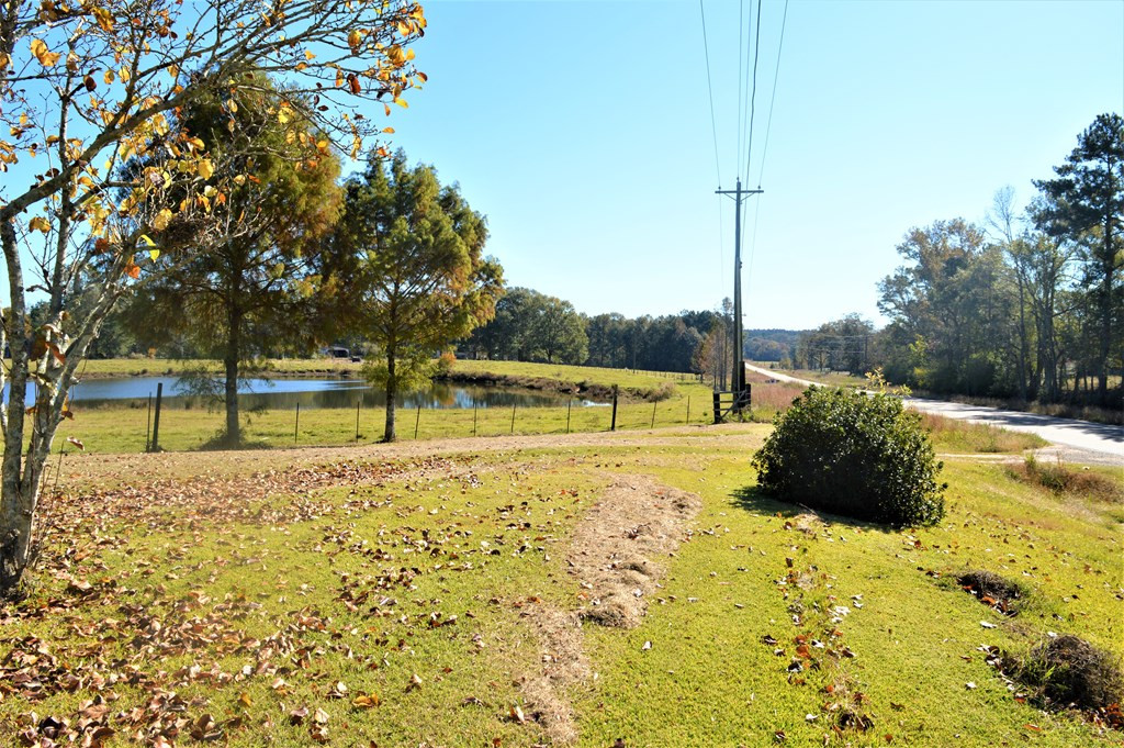 3819 Highway 583 Ruth, MS 39662 - Photo 8 of 16 Photo 8