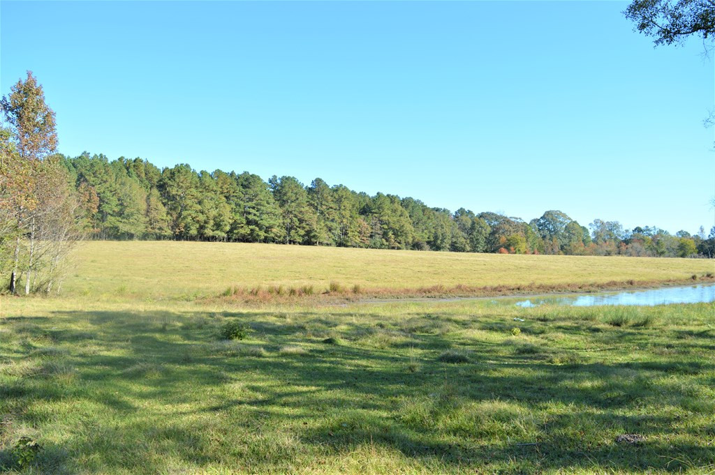 3819 Highway 583 Ruth, MS 39662 - Photo 10 of 16 Photo 10