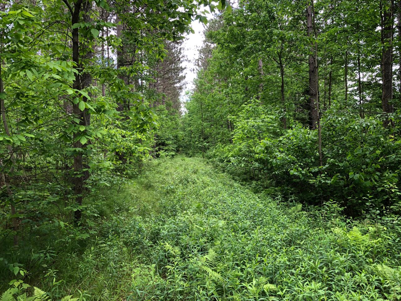 8 Old 8 Road Crandon, WI 54520 - Photo 13 of 39 Gallery Image 13