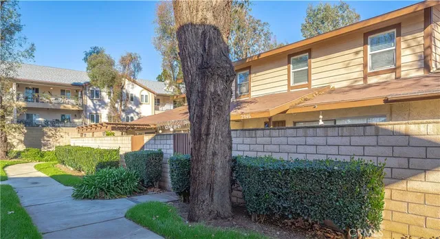 a view of a house with a tree in a yard