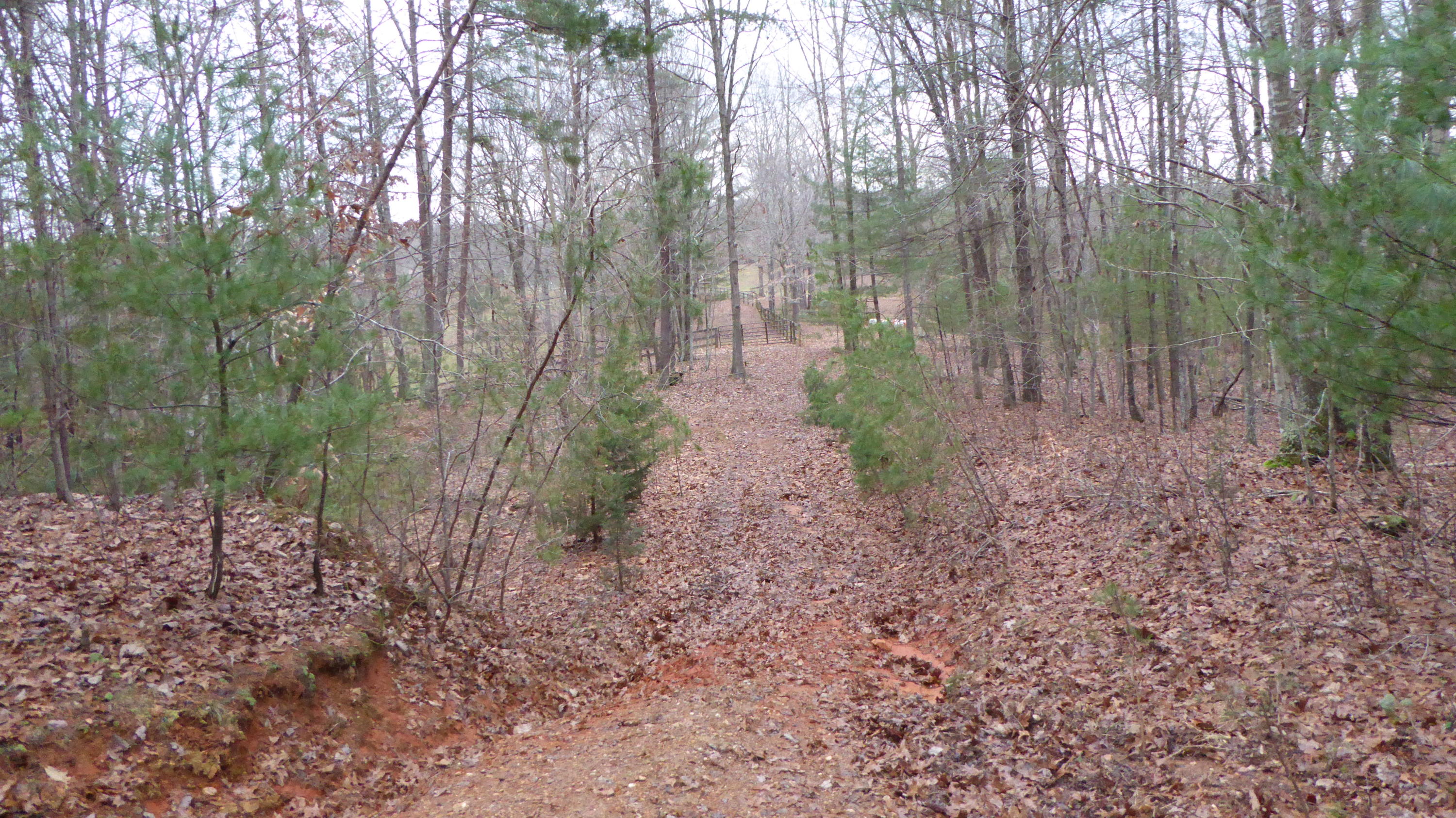 0 Ramsey Memorial Road Penhook, VA 24137 - Photo 18 of 32 18