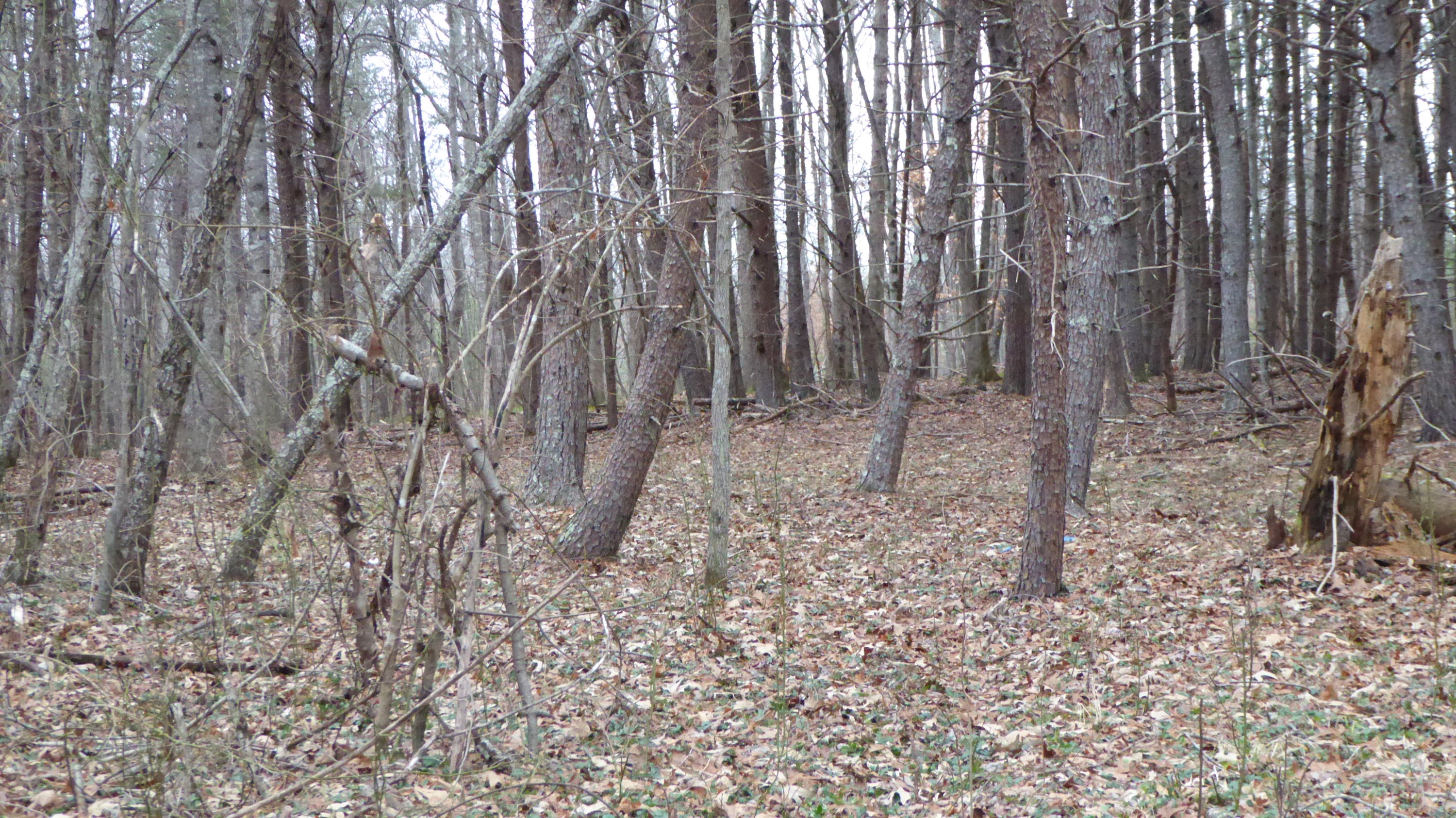 0 Ramsey Memorial Road Penhook, VA 24137 - Photo 23 of 32 23