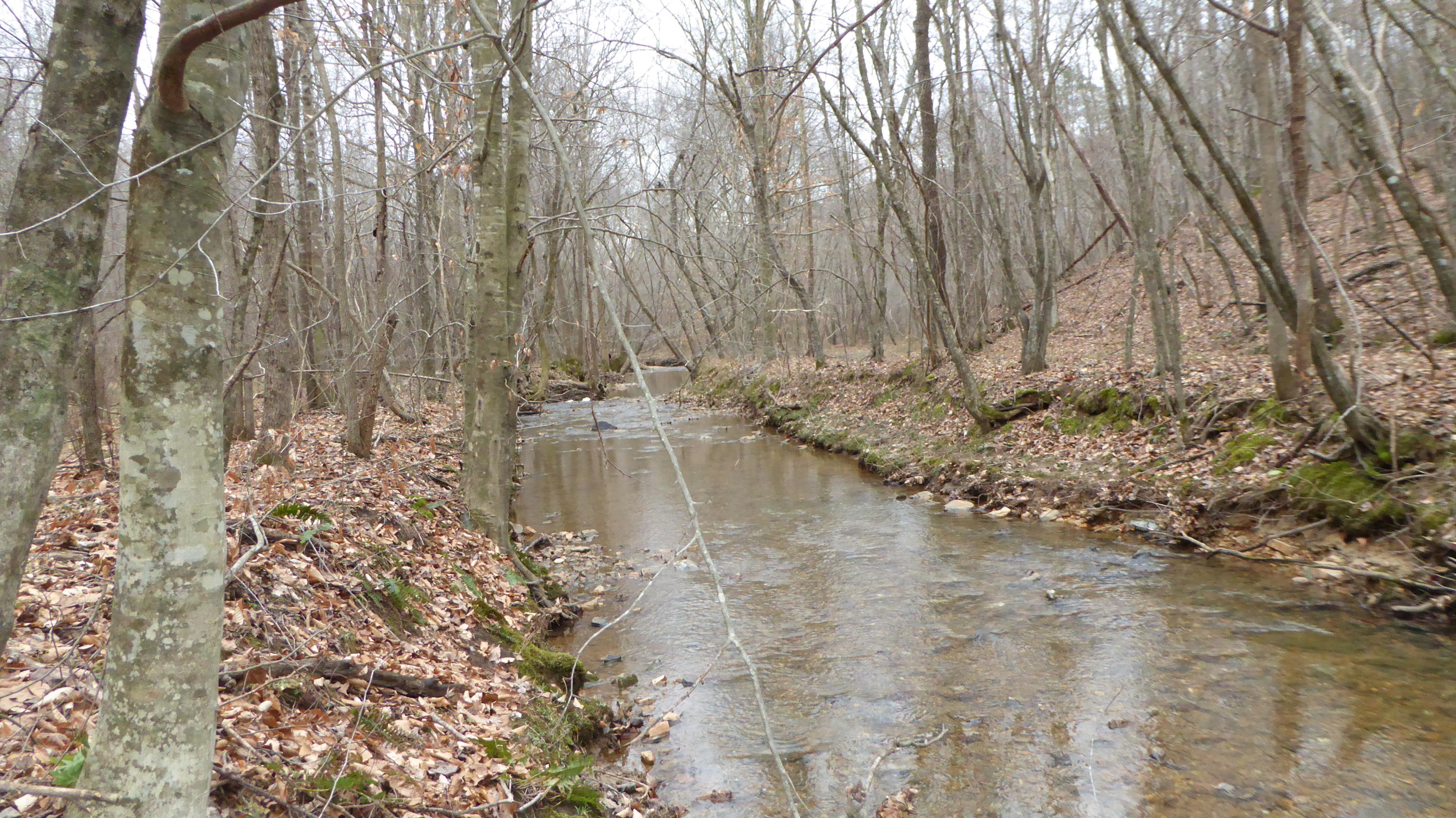 0 Ramsey Memorial Road Penhook, VA 24137 - Photo 26 of 32 26