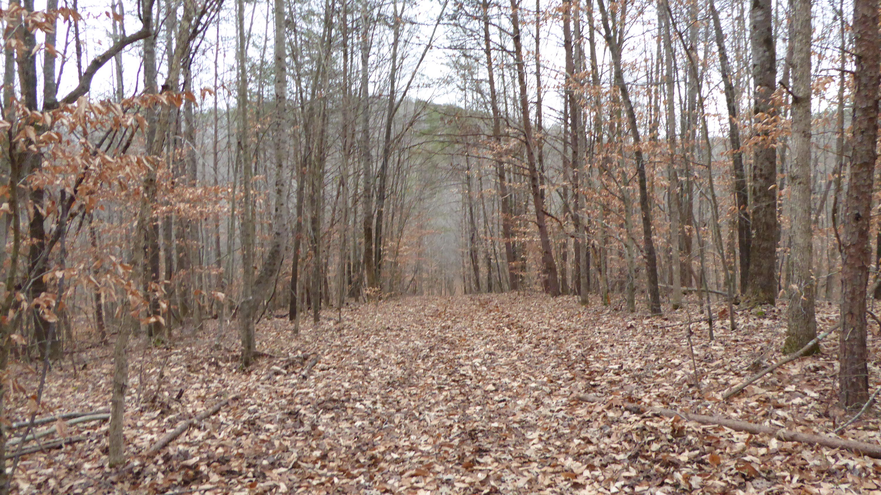 0 Ramsey Memorial Road Penhook, VA 24137 - Photo 4 of 32 4