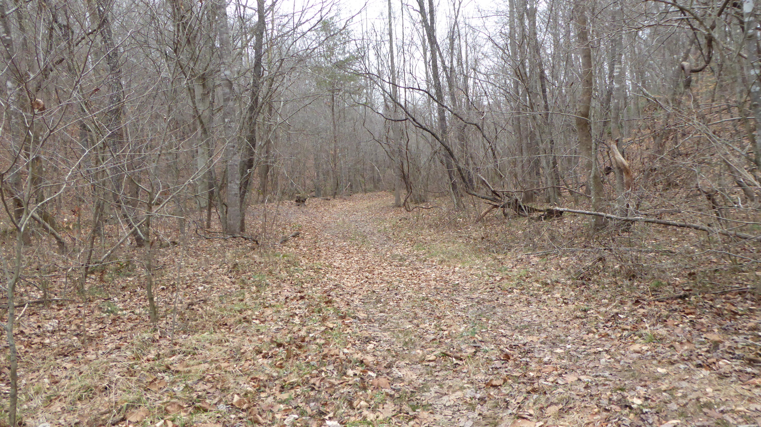 0 Ramsey Memorial Road Penhook, VA 24137 - Photo 7 of 32 7