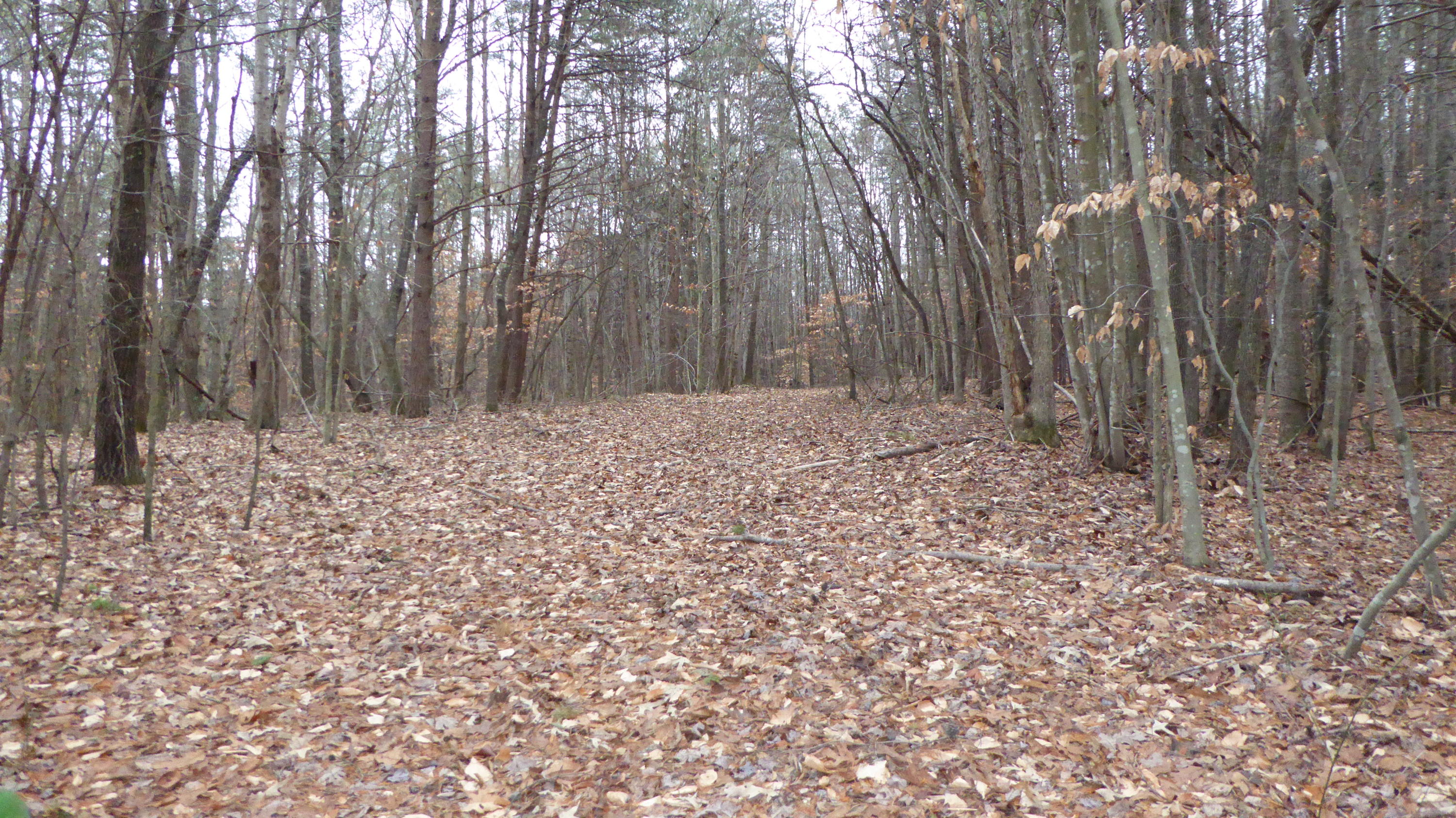 0 Ramsey Memorial Road Penhook, VA 24137 - Photo 8 of 32 8
