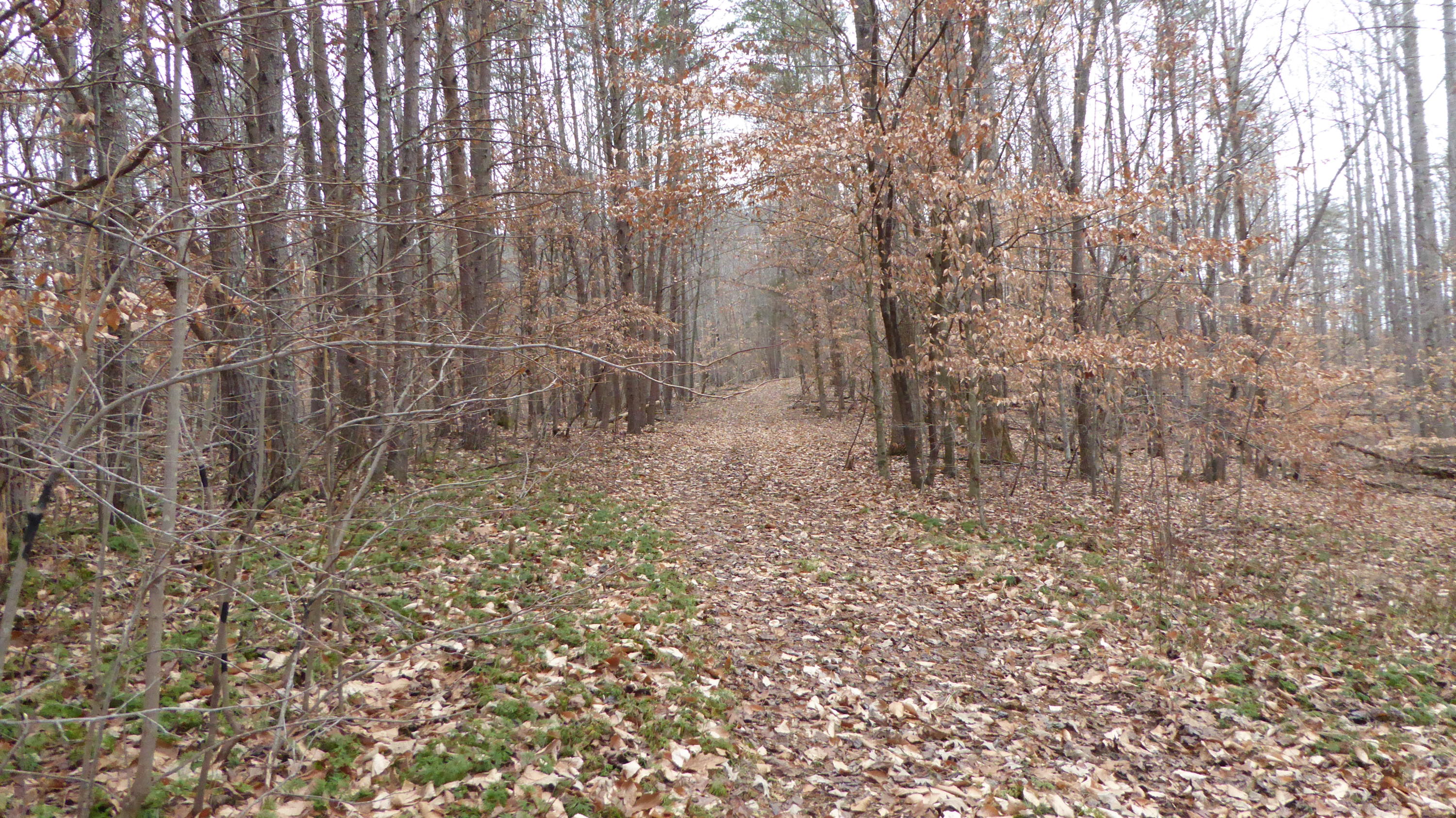 0 Ramsey Memorial Road Penhook, VA 24137 - Photo 9 of 32 9