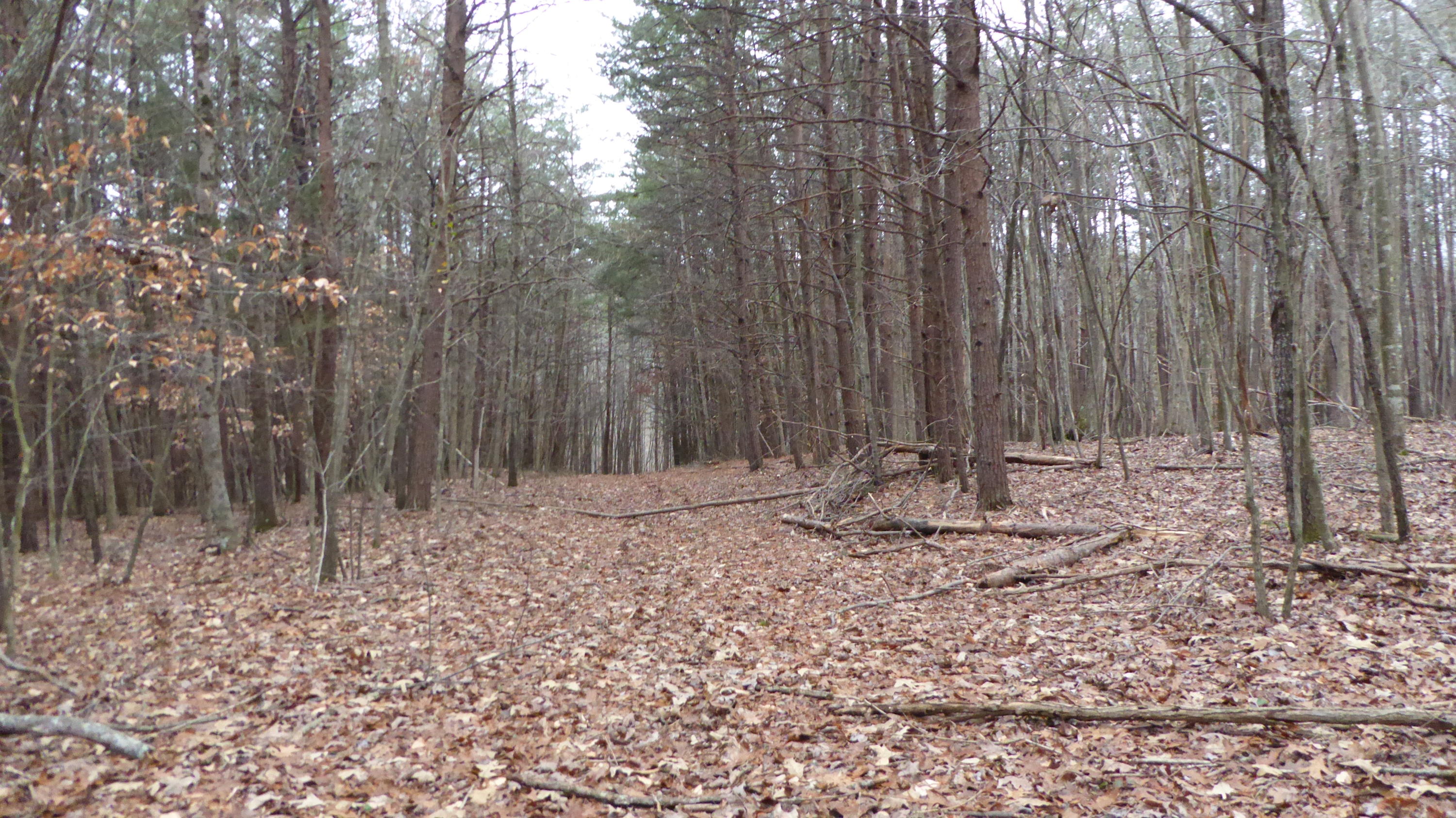 0 Ramsey Memorial Road Penhook, VA 24137 - Photo 10 of 32 10