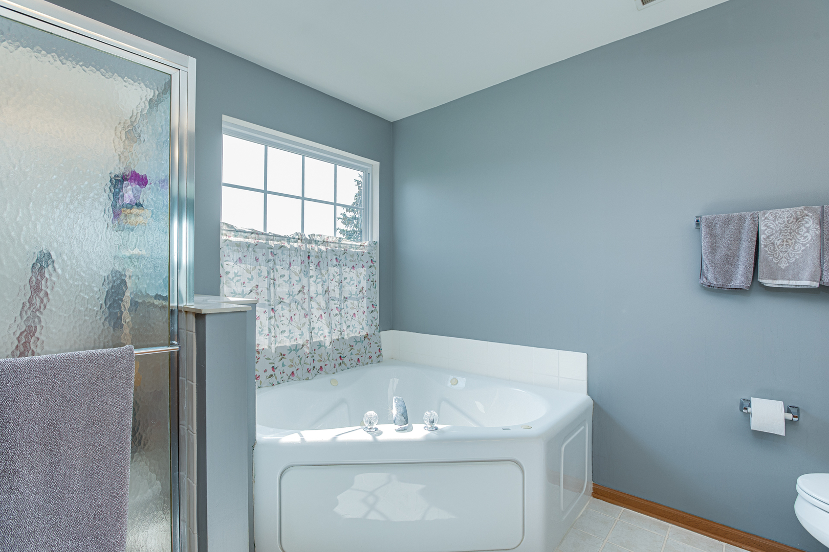 206 Brompton Lane, Unit A Sugar Grove, IL 60554 - Photo 14 of 17 a bathroom with a sink and a toilet