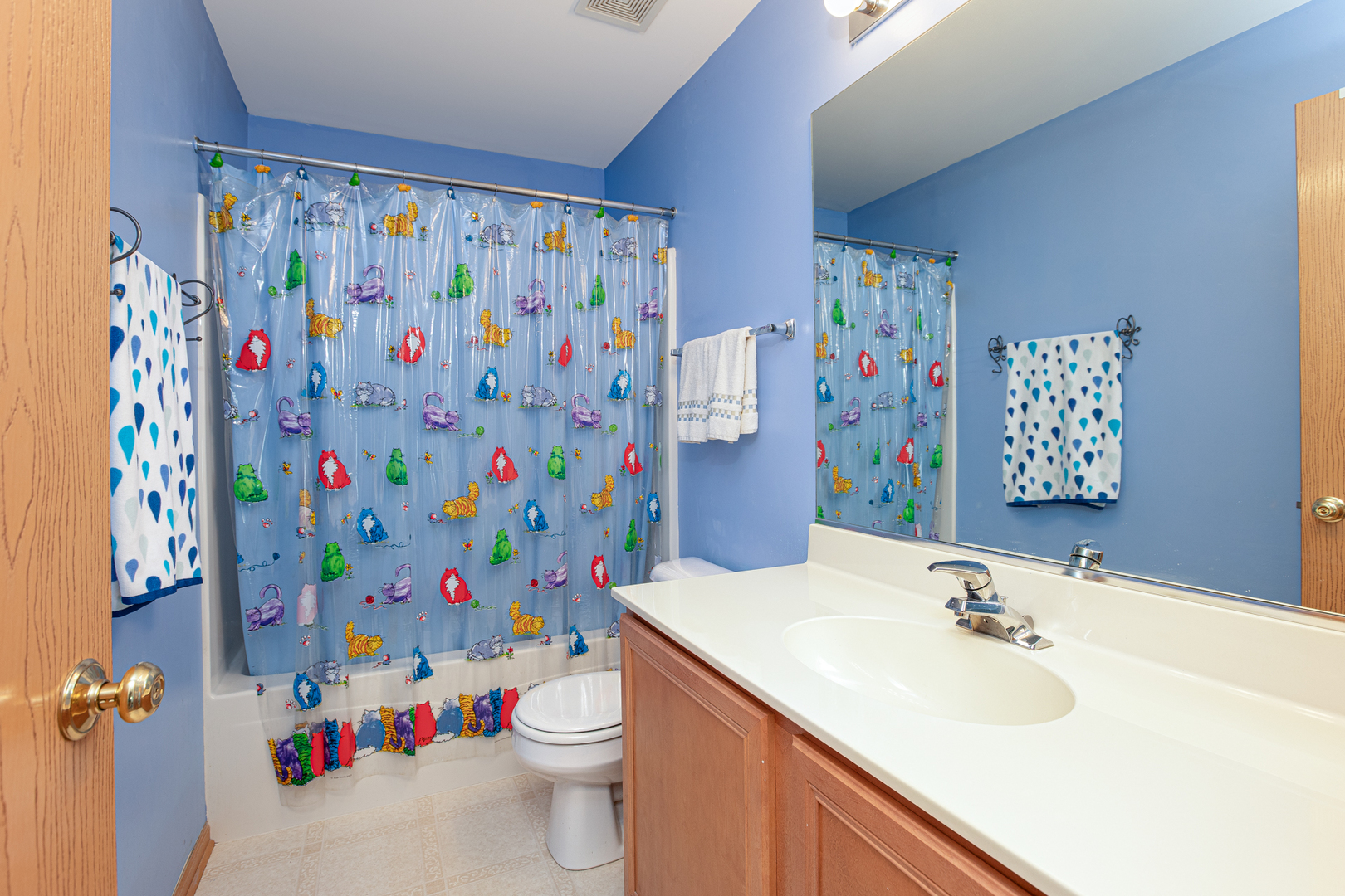 206 Brompton Lane, Unit A Sugar Grove, IL 60554 - Photo 17 of 17 a bathroom with a sink toilet and shower curtain