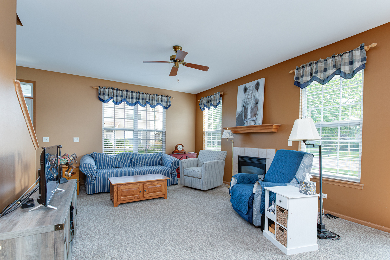 206 Brompton Lane, Unit A Sugar Grove, IL 60554 - Photo 5 of 17 a living room with furniture a fireplace and a large window