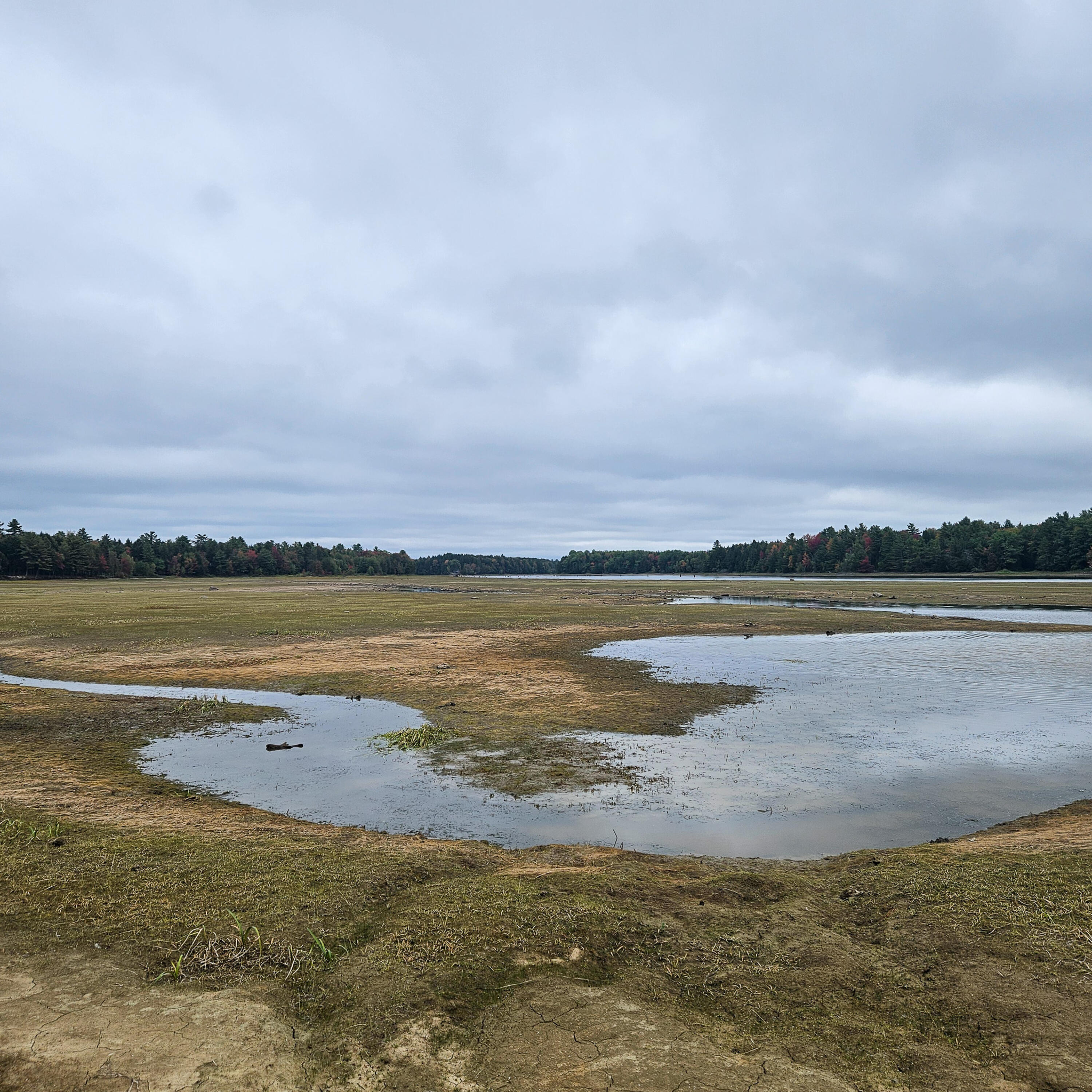 206 Morrison Farm Road Mariaville, ME 04605 - Photo 15 of 28 20250924_105940