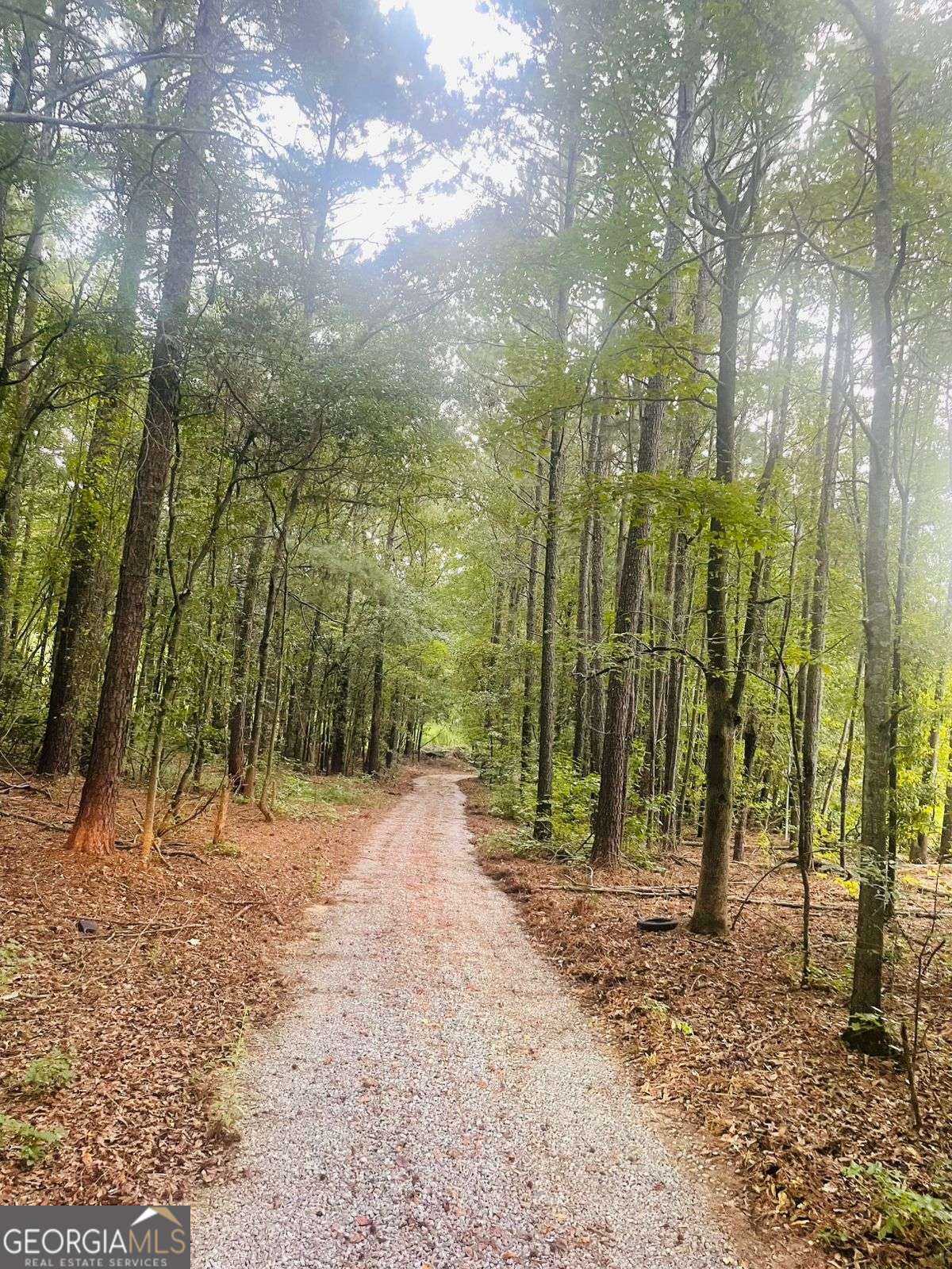 489 Childers Road Colbert, GA 30628 - Photo 1 of 1 a view of outdoor space with trees