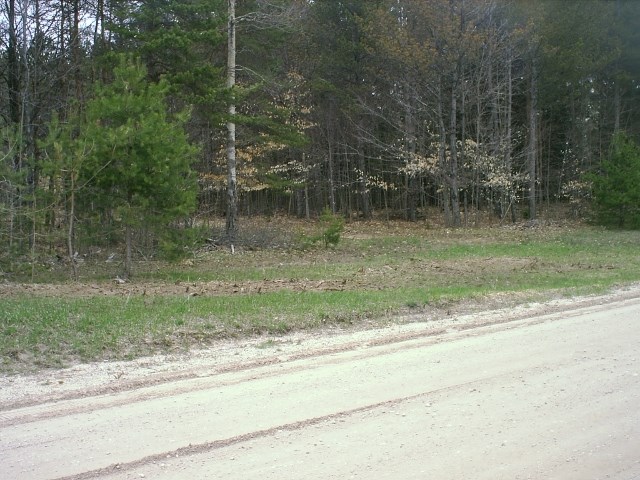 5567 Cool Road Southeast Kalkaska, MI 49646 - Photo 1 of 7 1808255.JPG