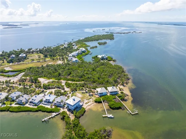 a view of a lake with lawn chairs and large trees