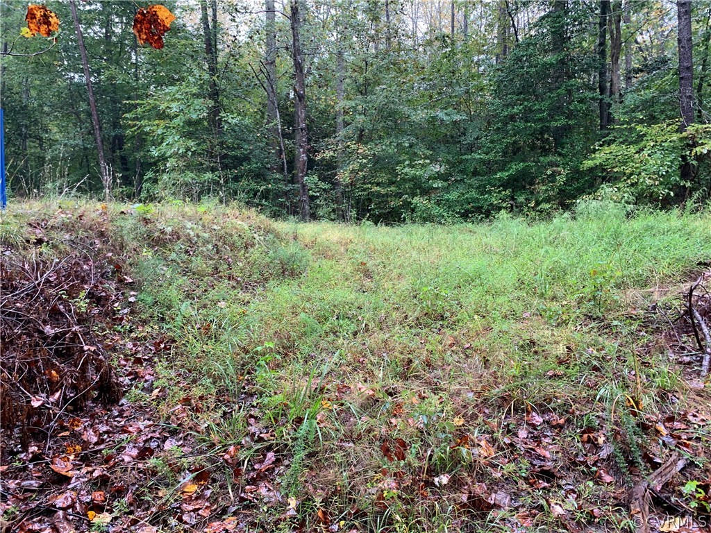 Tbd Mt Olive Cohoke Road West Point, VA 23181 - Photo 1 of 3 Gallery Image 1